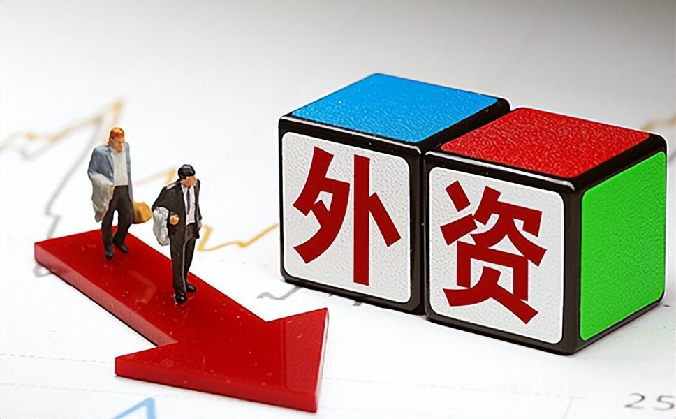 外資企業(yè)的定義(外資企業(yè)認(rèn)定的基本特征有哪些)