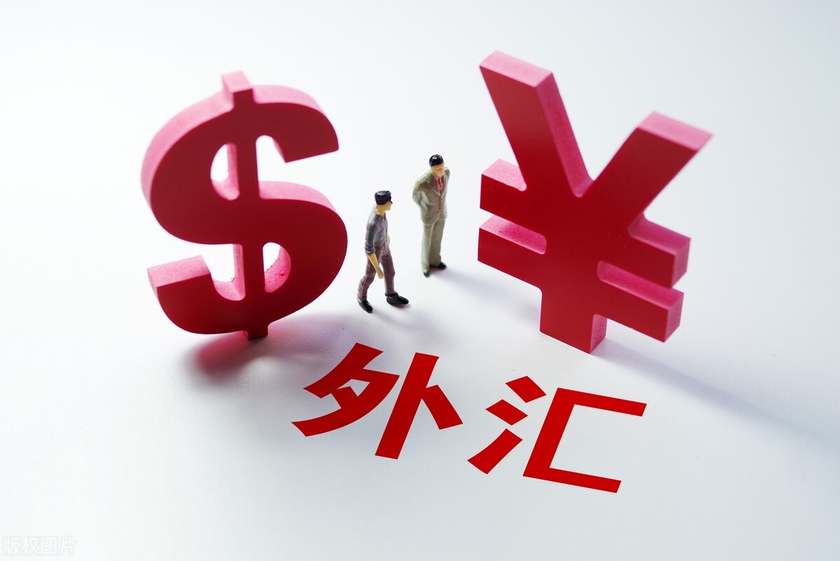 購匯和結匯是什么意思(購匯業(yè)務和結匯業(yè)務的定義)
