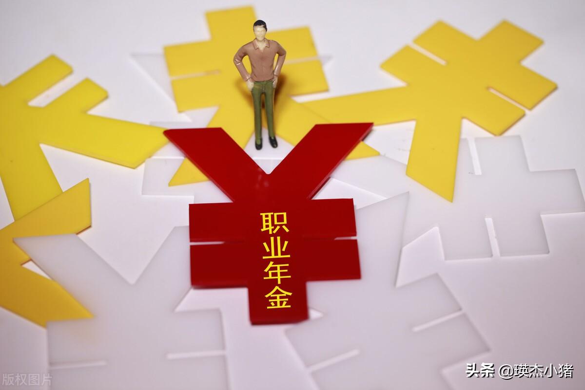 職業(yè)年金是什么意思(職業(yè)年金的概念)