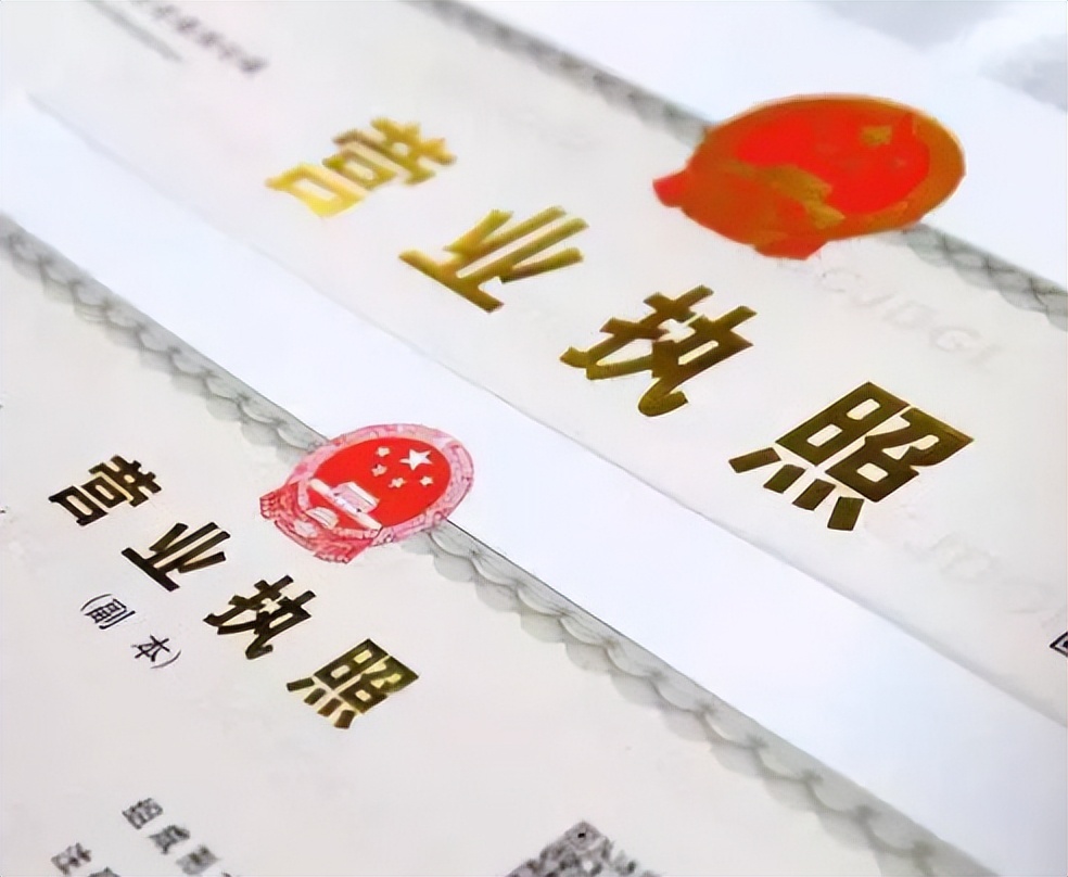 申請執(zhí)照副本數(shù)量怎么填寫(公司登記備案申請書模板)