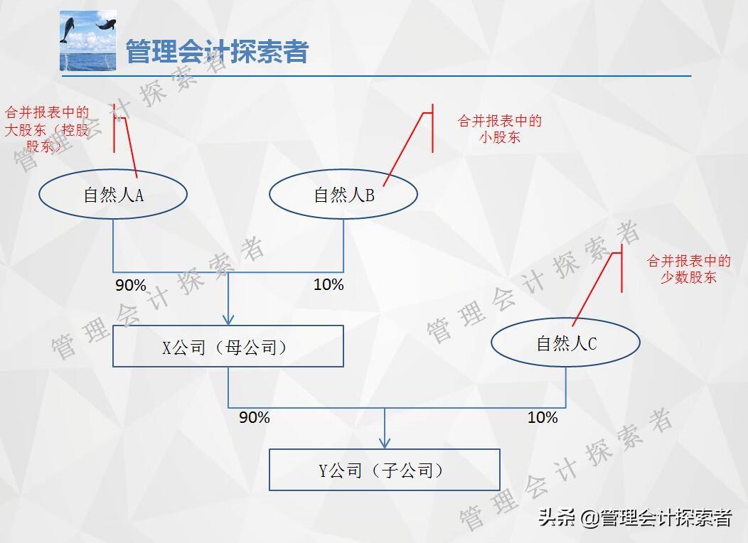 少數(shù)股東權(quán)益怎么計算(什么是少數(shù)股東)